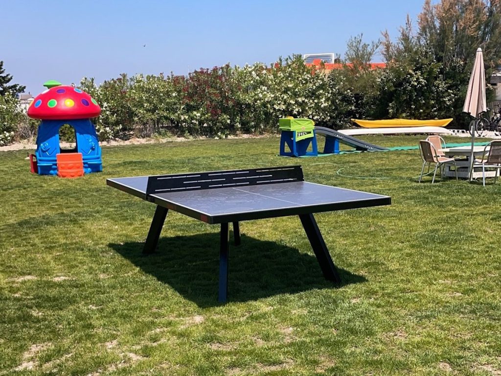 ping pong professionale pallina f1